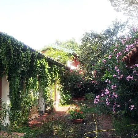Terrazza Sull'alba Zafferana Etnea