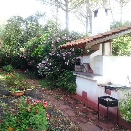 Terrazza Sull'alba Zafferana Etnea